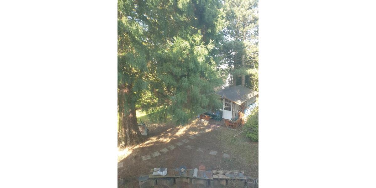 Reihenhaus Kastellaun - 5 Zimmer, 125 m&sup2;, 285.000&euro; | Angebot:25422743