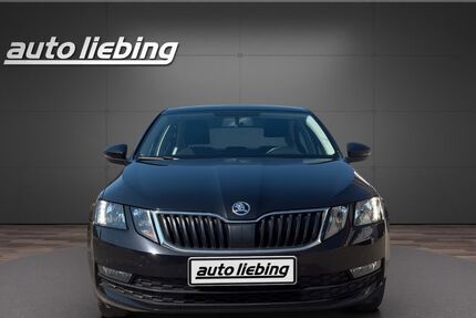 Skoda Octavia 131.900 km 11.555 &euro; Halberstadt 38820