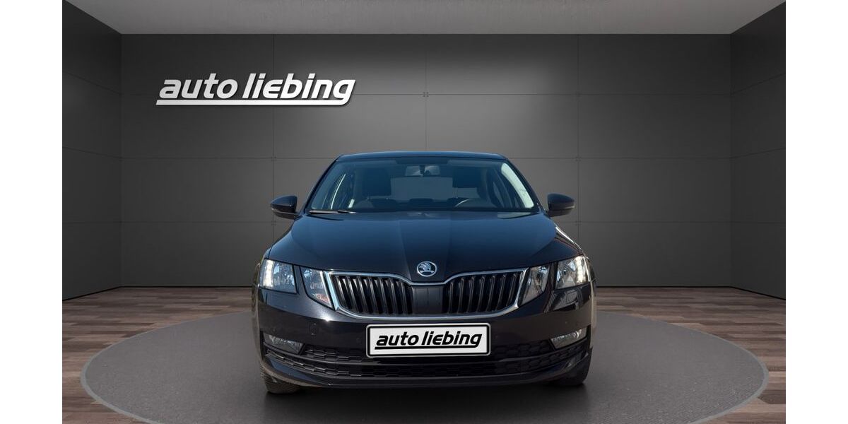 Skoda Octavia 131.900 km 11.555 &euro; Halberstadt 38820