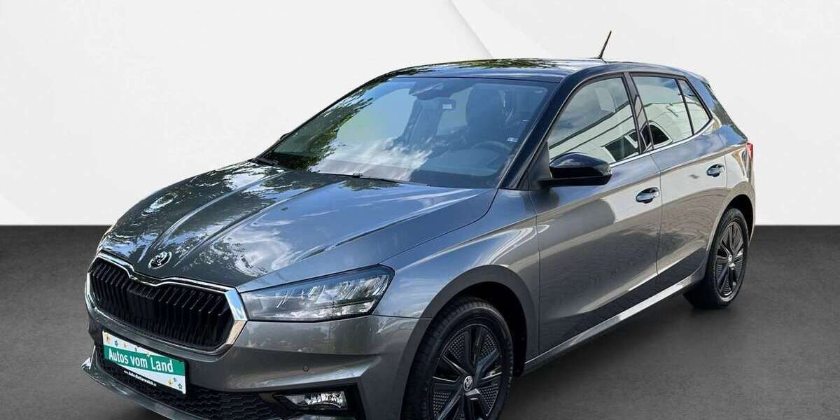 Skoda Fabia 30.700 km 16.800 &euro; Schönbrunn 96185