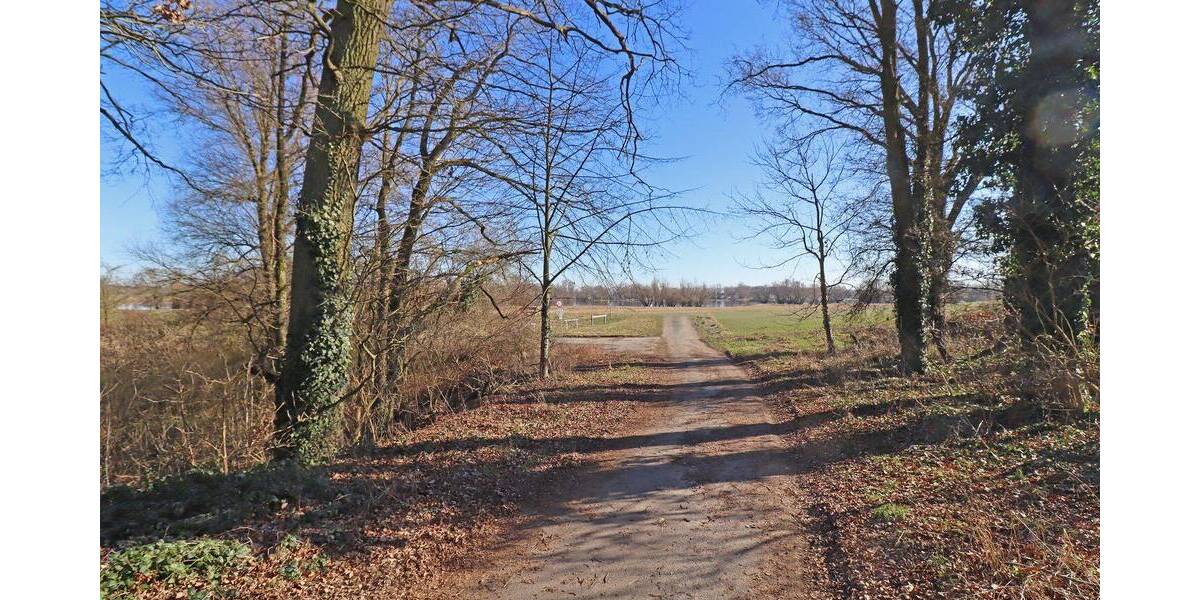 Doppelhaushälfte Langendorf - 4 Zimmer, 111 m&sup2;, 175.000&euro; | Angebot:26451120