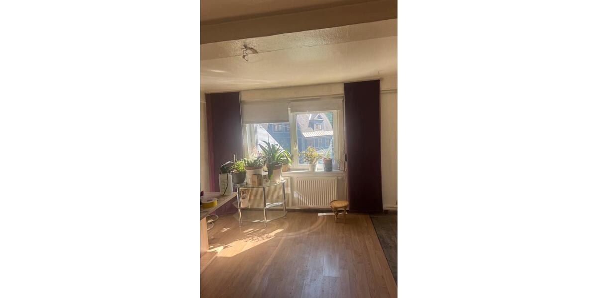 Einfamilienhaus Neuhaus am Rennweg - 7 Zimmer, 280 m&sup2;, 33.000&euro; | Angebot:26321161