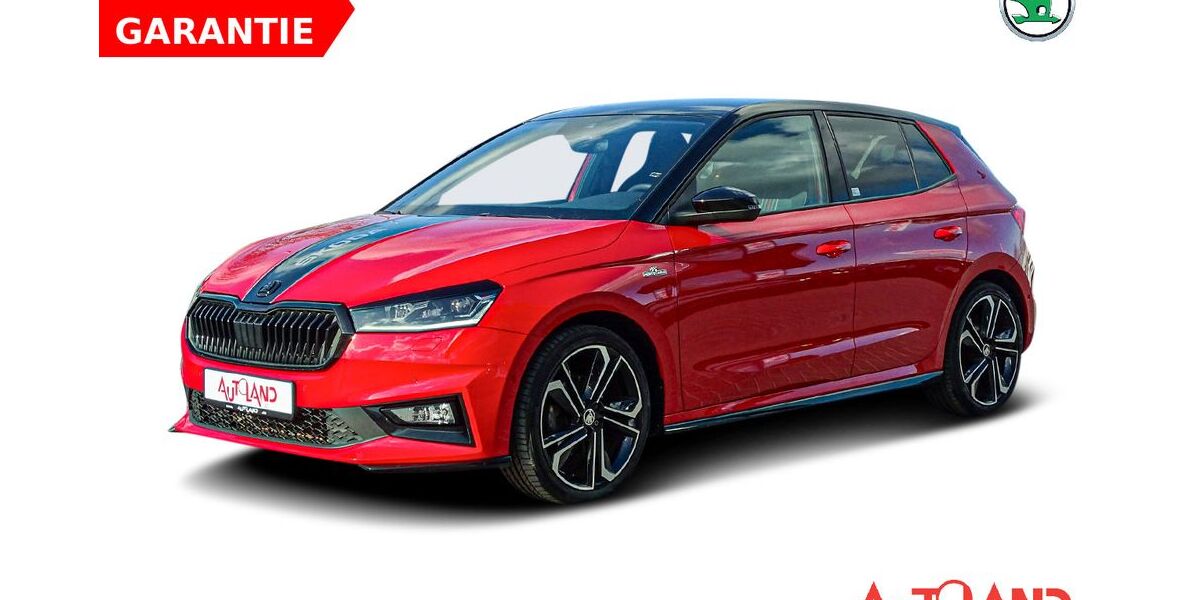 Skoda Fabia 47.500 km 23.950 &euro; Eisleben 06295