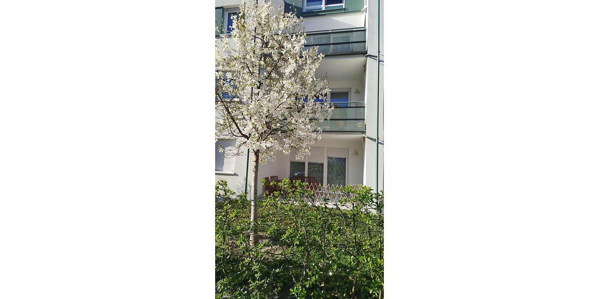 Erdgeschoßwohnung Regensburg Ganghofersiedlung - 1.5 Zimmer, 52 m&sup2;, 352.000&euro; | Angebot:26477585