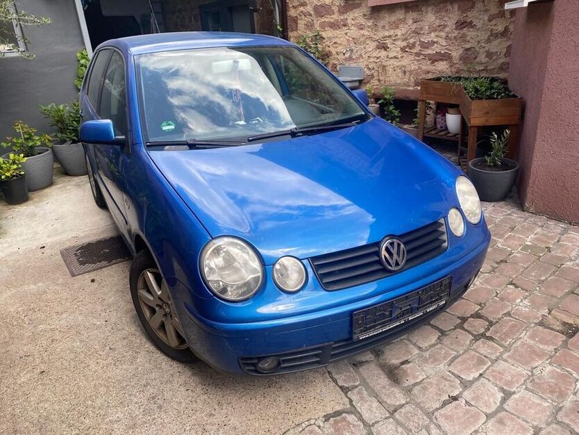 Polo