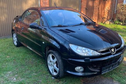 Peugeot 206 174.520 km 2.000 &euro; Neu Darchau 29456