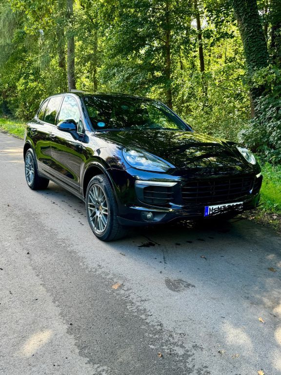 Cayenne