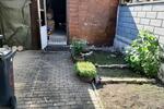 Einfamilienhaus Ahorn - 4 Zimmer, 103 m&sup2;, 600&euro; | Angebot:26579611