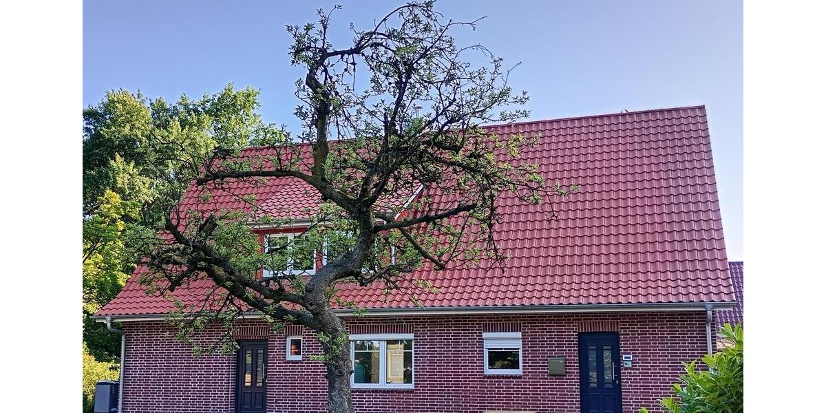 Einfamilienhaus Löningen - 5 Zimmer, 130 m&sup2;, 1.150&euro; | Angebot:25756277