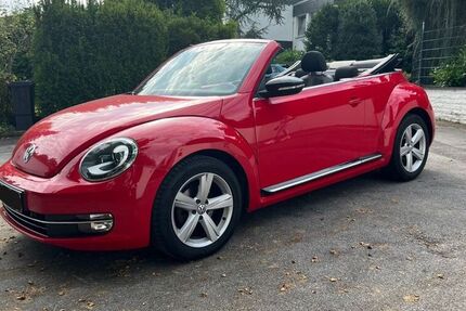 VW Beetle