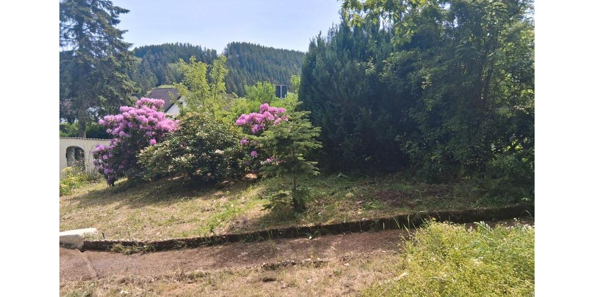 Erdgeschoßwohnung Hellenthal - 4 Zimmer, 120 m&sup2;, 900&euro; | Angebot:26502617