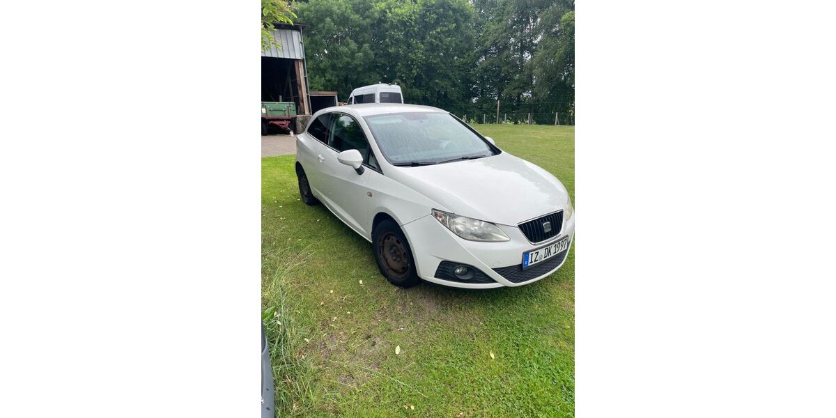 Seat Ibiza 162.482 km 1.000 &euro; Münsterdorf 25587