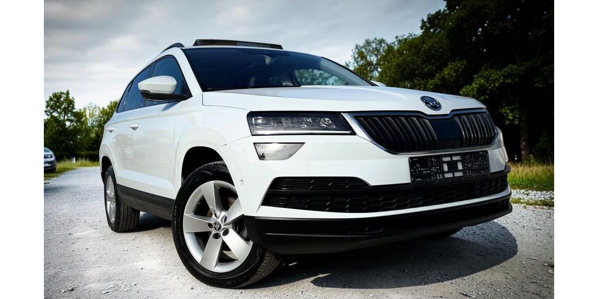 Skoda Karoq 169.741 km 15.499 &euro; Potsdam 14482
