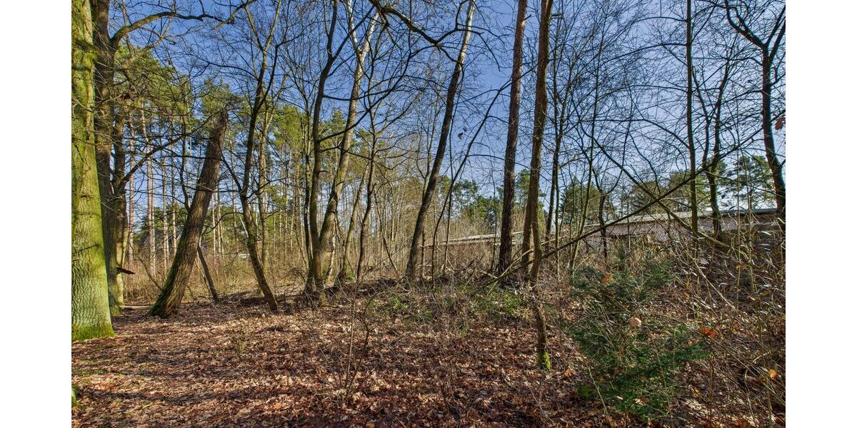 Baugrundstück in kleiner Siedlung - umgeben von Wald und Wiesen - nahe der Spree - Grundstück Grünheide (Mark) | Angebot:25943955