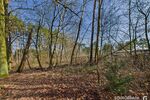 Baugrundstück in kleiner Siedlung - umgeben von Wald und Wiesen - nahe der Spree - Grundstück Grünheide (Mark) | Angebot:25943955