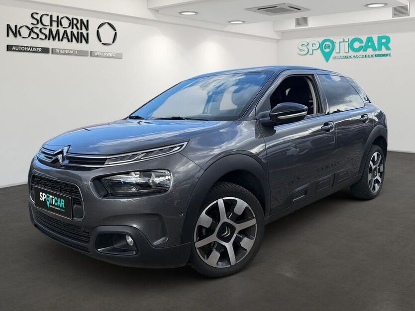 C4 Cactus