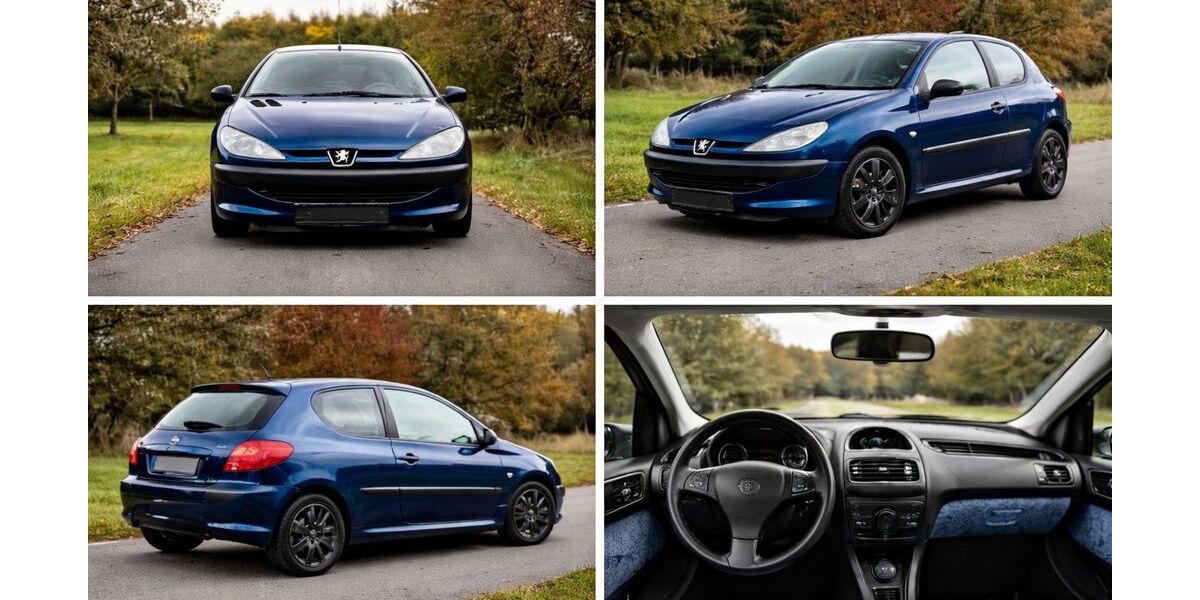 Peugeot 206 260.000 km 1.650 &euro; Bramsche 49565