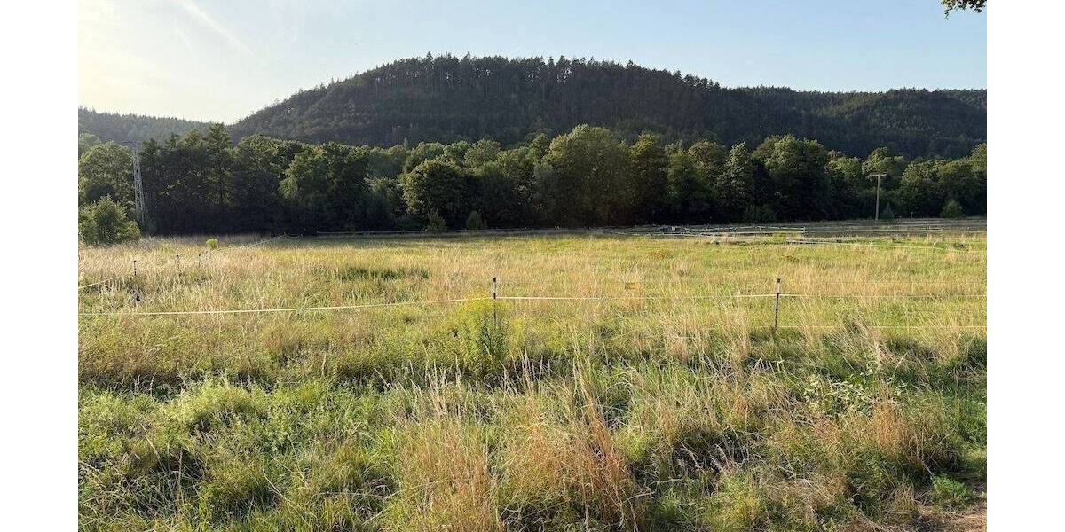 Riesen Bauplatz für zwei Häuser zimmer