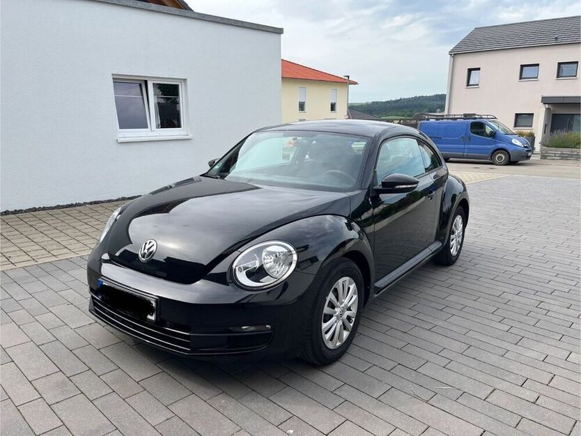 Beetle