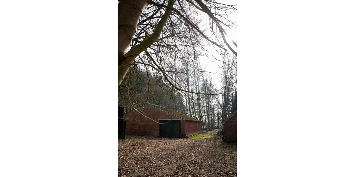 Bauernhaus, Landhaus Uplengen - 7 Zimmer, 150 m&sup2;, 320.000&euro; | Angebot:26114493