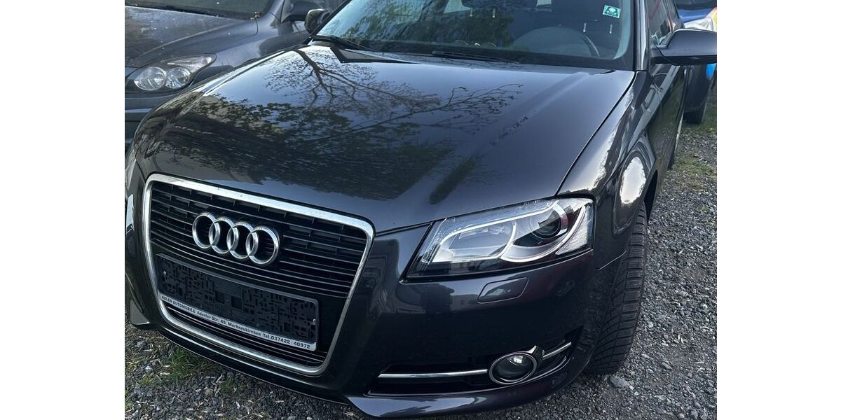 Audi A3 248.000 km 2.600 &euro; Plauen 08523