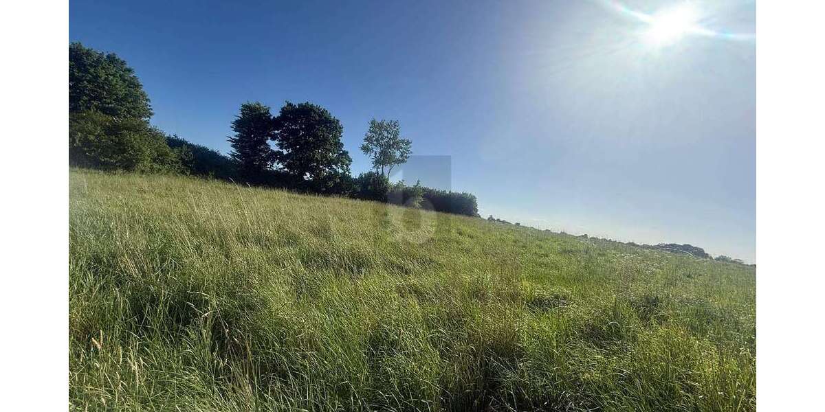 Grundstück Riepsdorf - 187.000&euro; | Angebot:26801462