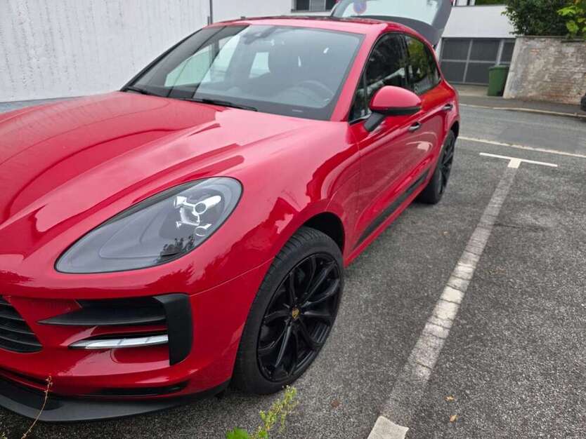 Macan