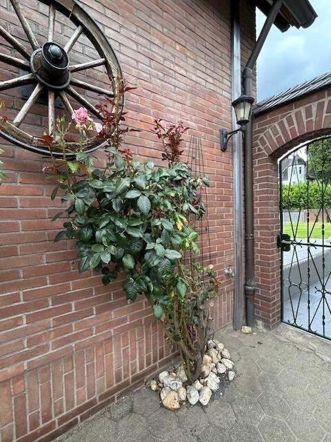 Charmante Doppelhaushälfte in Moers-Kapellen