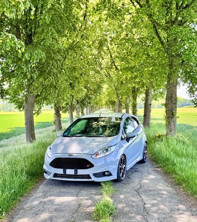 Fiesta ST