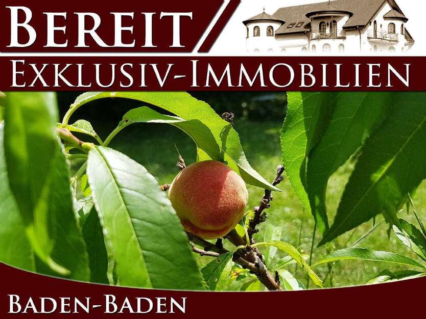 Grundstück zu verkaufen in Baden-Baden 1.500.000 € 420 m² zimmer