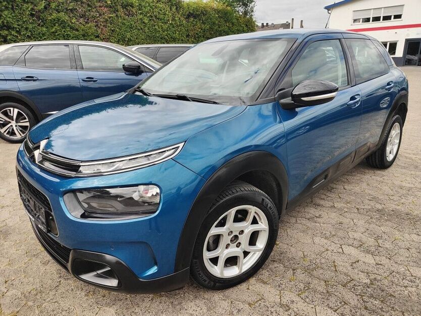 C4 Cactus