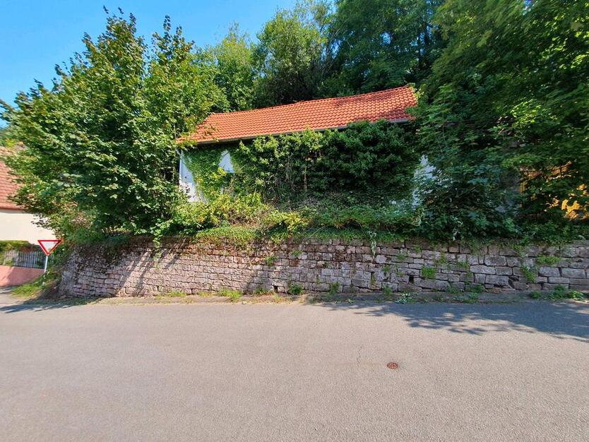 Haus mit Grundstück