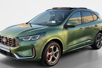 Ford Kuga 9.000 km 39.984 &euro; Heide 25746