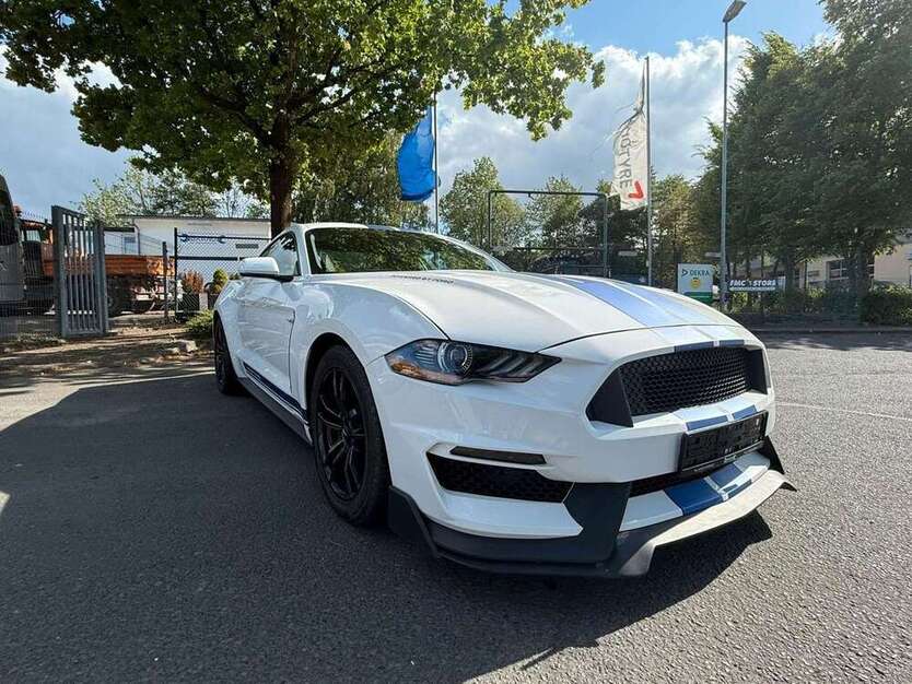 Mustang