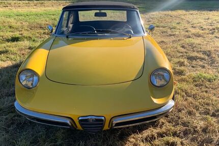 Alfa Romeo Spider 38.000 km 36.000 &euro; weeze 47652