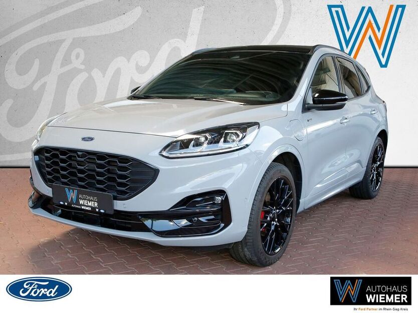 Kuga
