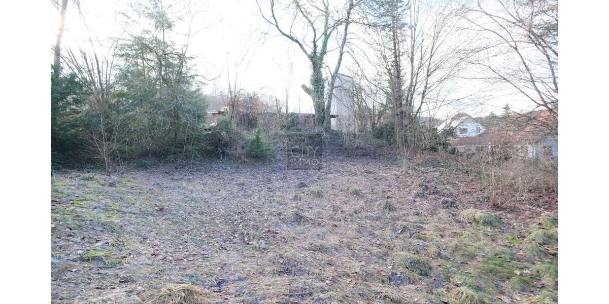 Grundstück Betzenstein - 230.000&euro; | Angebot:27134658