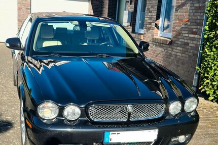 Jaguar XJ8