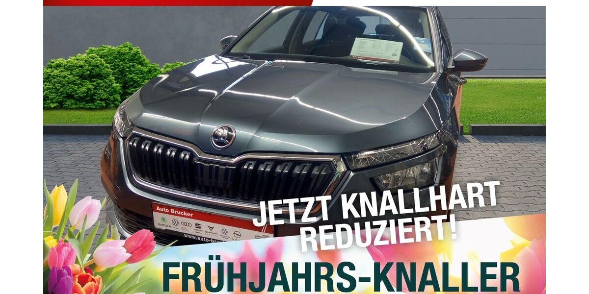 Skoda Kamiq 88.155 km 17.670 &euro; Marktredwitz 95615