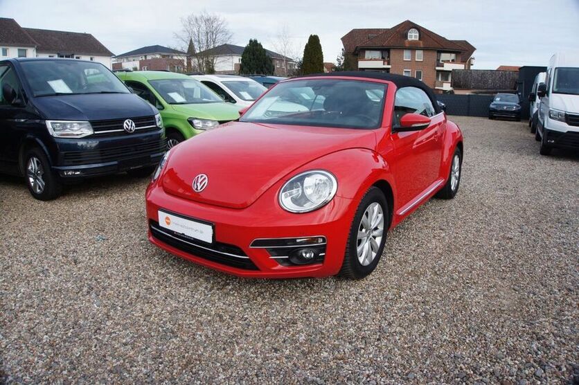 Beetle