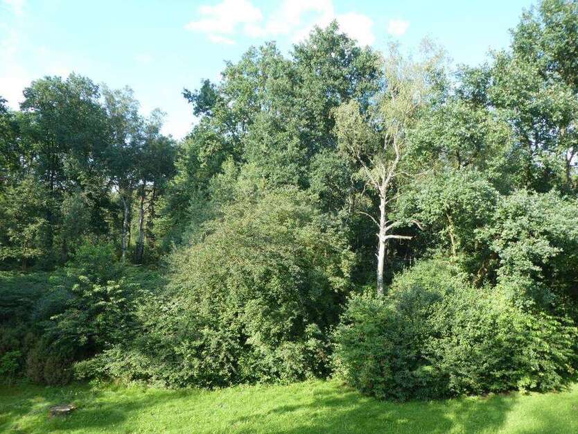 Wohnung zum Mieten in Gelsenkirchen 449 € 55.51 m²