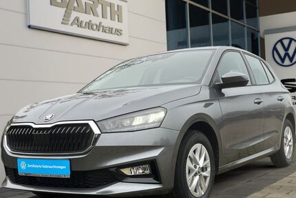 Skoda Fabia 1.050 km 20.389 &euro; Schopfloch 72296