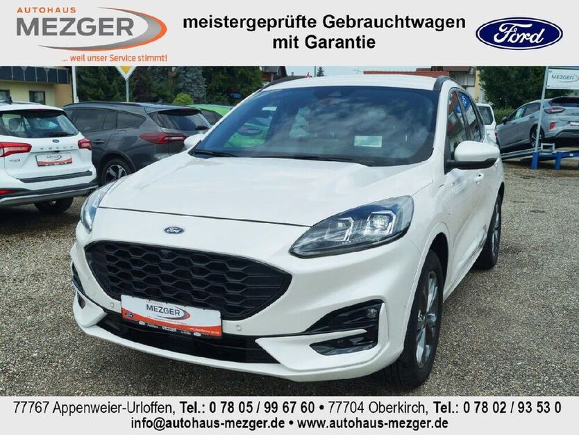 Kuga