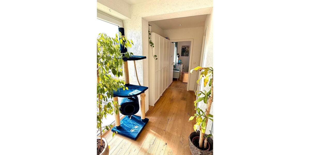 Doppelhaushälfte Mutterstadt - 5 Zimmer, 136 m&sup2;, 519.000&euro; | Angebot:25517729