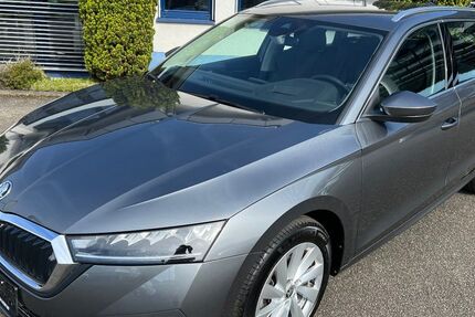 Skoda Octavia 29.698 km 28.900 &euro; Sasbach 77880