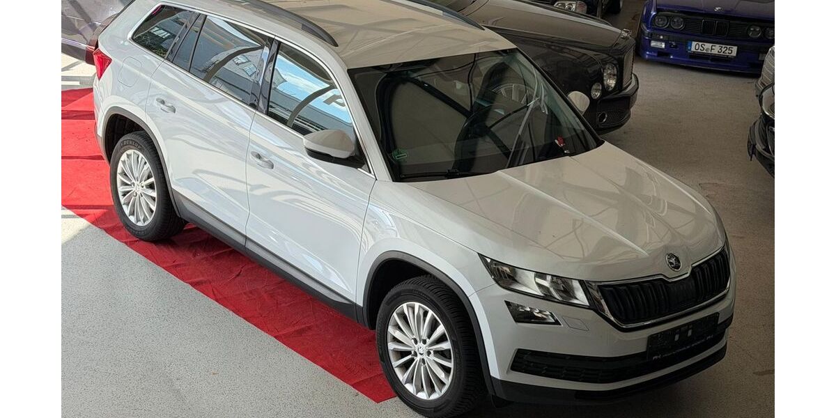 Skoda Kodiaq 249.350 km 12.990 &euro; Bad Essen 49152