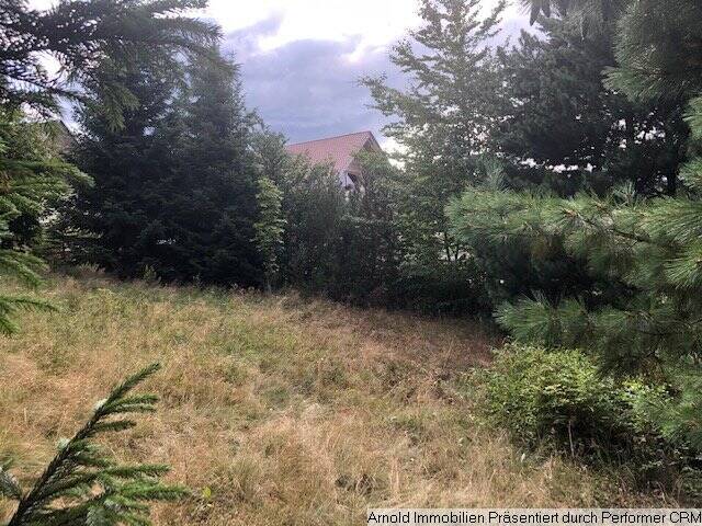 Grundstück Altenberg Zinnwald-Georgenfeld - 18.000&euro; | Angebot:25700102