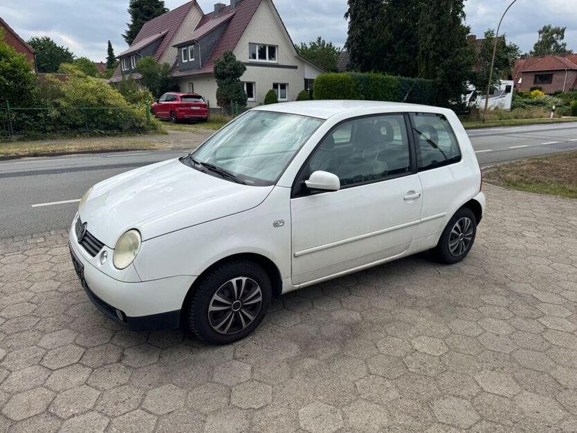 Lupo