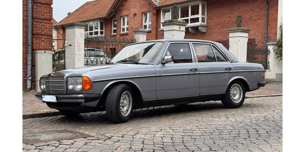 Mercedes-Benz 230 218.000 km 11.150 &euro; Liensfeld 23715