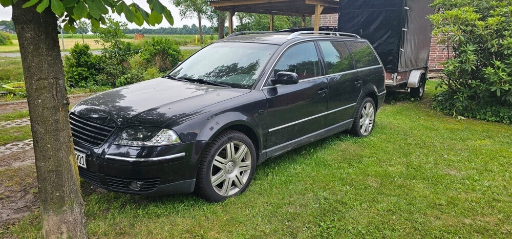 Passat (Typ 3BG)